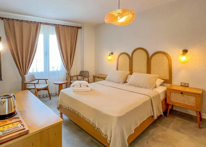 Parla Kuecuekkoey Hotell Ayvalı